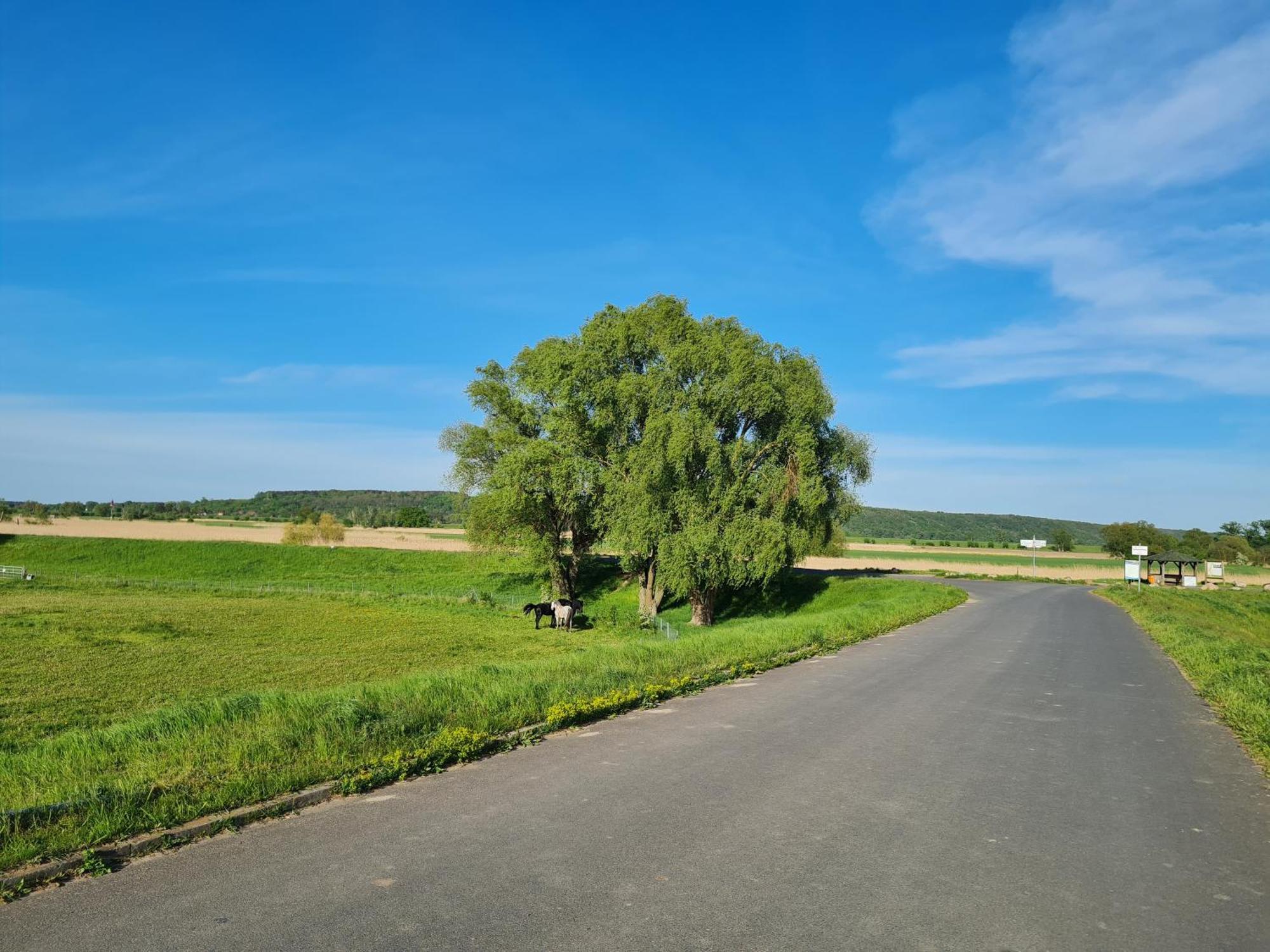 Ferienwohnungen Stolzenhagener 7 Lunow-Stolzenhagen Екстериор снимка
